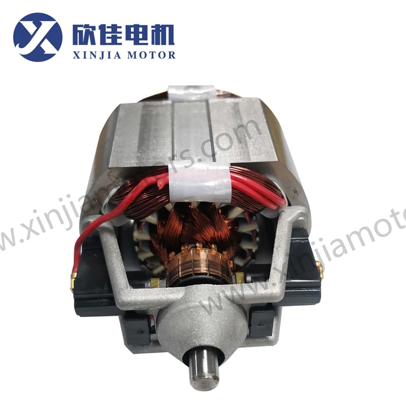 81 Series Juicer Motor with AC 220V/100V